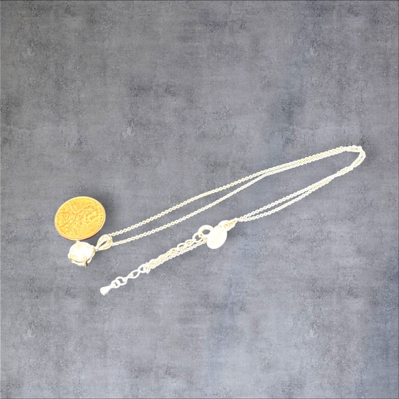 Silver plated clear CZ Express pendant & necklace - Picture 6 of 8